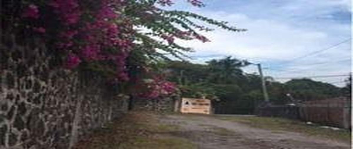 Foto de terreno habitacional en venta en  , granjas mérida, temixco, morelos, 11787555 No. 03