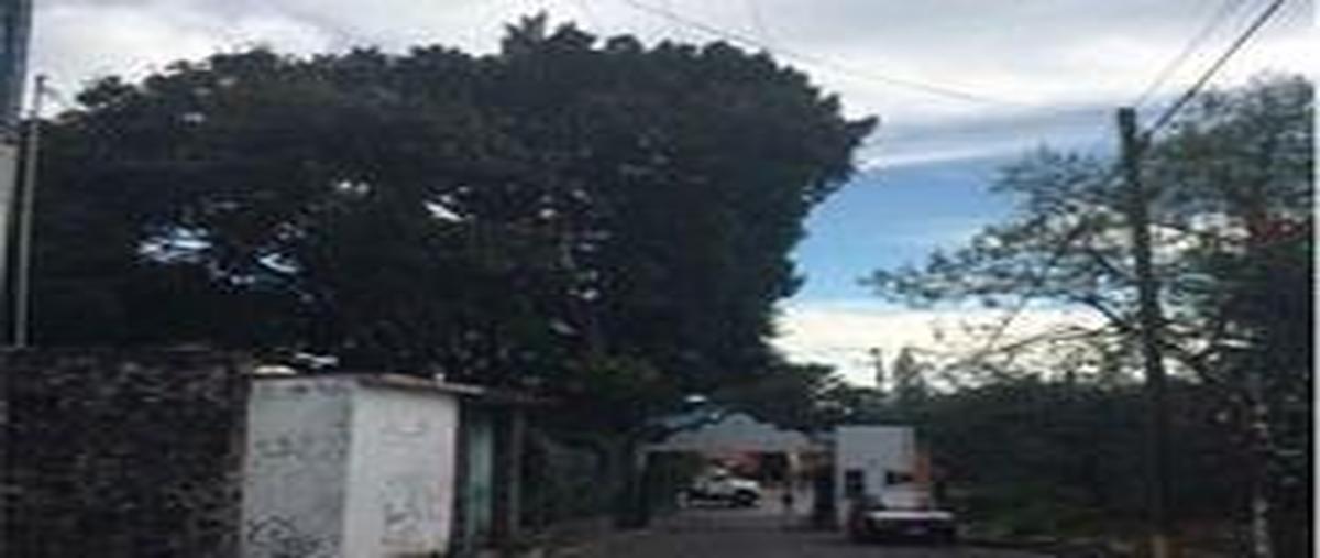 Foto de terreno habitacional en venta en  , granjas mérida, temixco, morelos, 11787555 No. 04