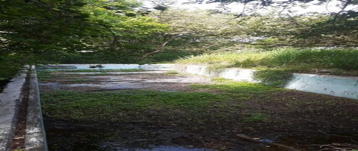 Foto de terreno habitacional en venta en  , granjas mérida, temixco, morelos, 0 No. 04