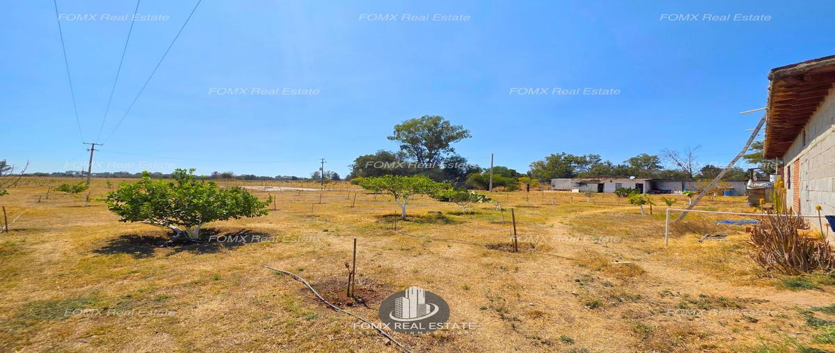 Foto de terreno habitacional en venta en  , granjas san carlos, león, guanajuato, 0 No. 04