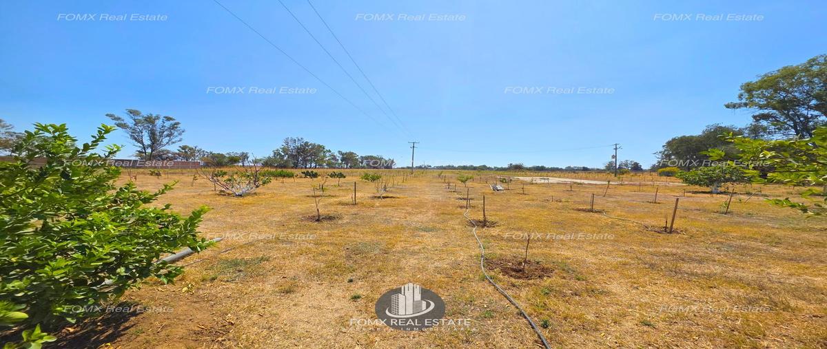 Foto de terreno habitacional en venta en  , granjas san carlos, león, guanajuato, 0 No. 05