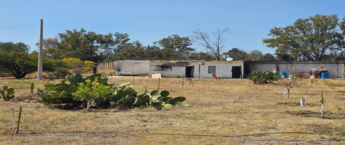 Foto de terreno habitacional en venta en  , granjas san carlos, león, guanajuato, 0 No. 05