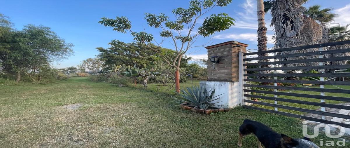 Foto de rancho en venta en granjas san isidro , san isidro mazatepec, tala, jalisco, 31073941 No. 04