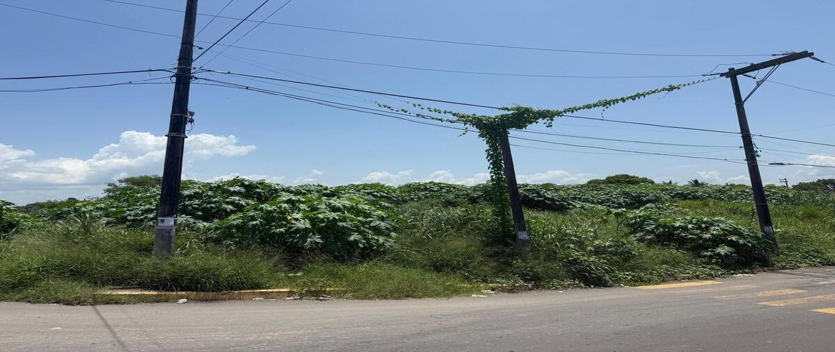 Foto de terreno habitacional en renta en  , granjas veracruz, veracruz, veracruz de ignacio de la llave, 0 No. 01