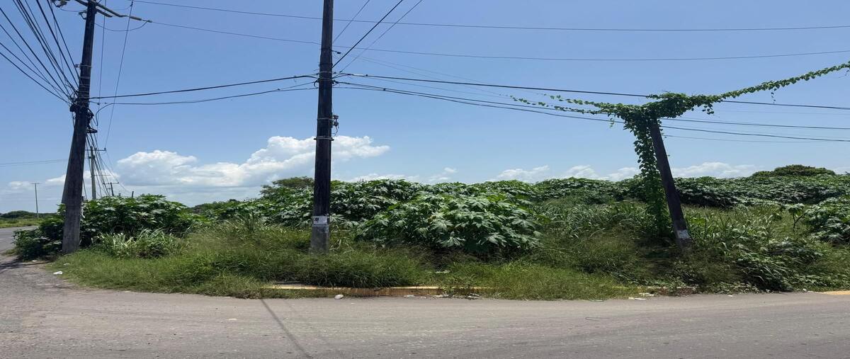 Foto de terreno habitacional en renta en  , granjas veracruz, veracruz, veracruz de ignacio de la llave, 0 No. 02