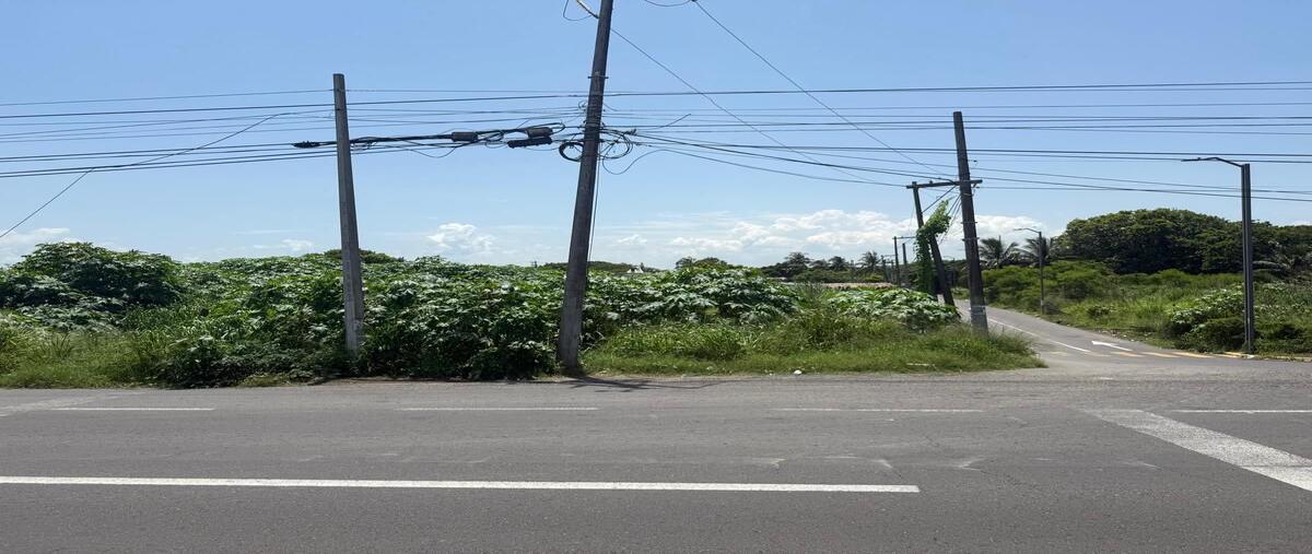 Foto de terreno habitacional en renta en  , granjas veracruz, veracruz, veracruz de ignacio de la llave, 0 No. 04