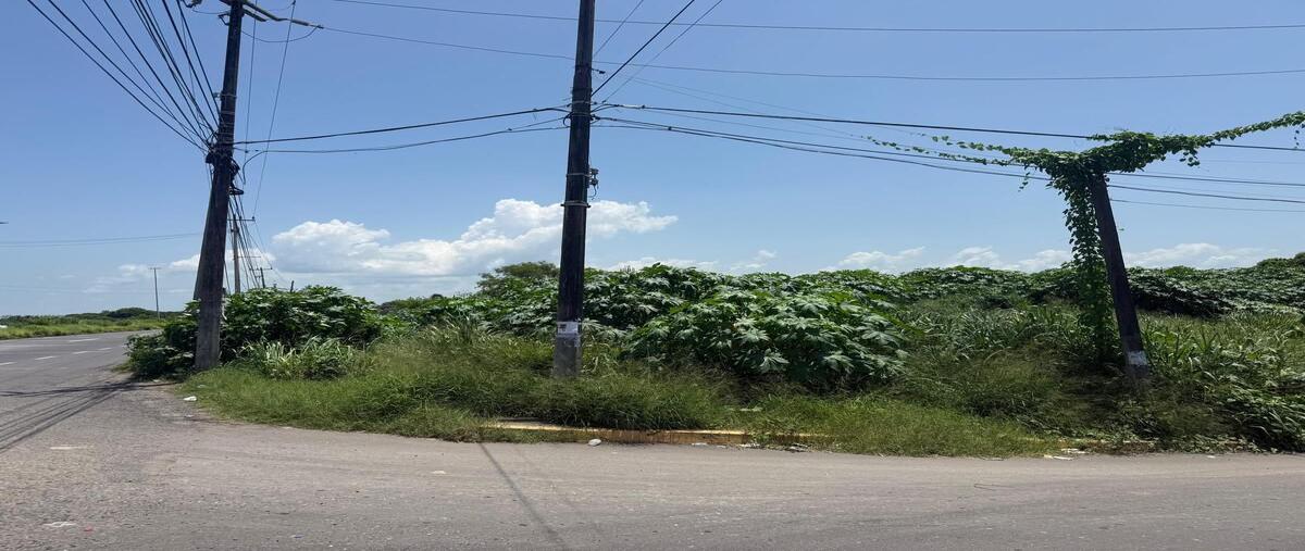 Foto de terreno habitacional en renta en  , granjas veracruz, veracruz, veracruz de ignacio de la llave, 0 No. 05
