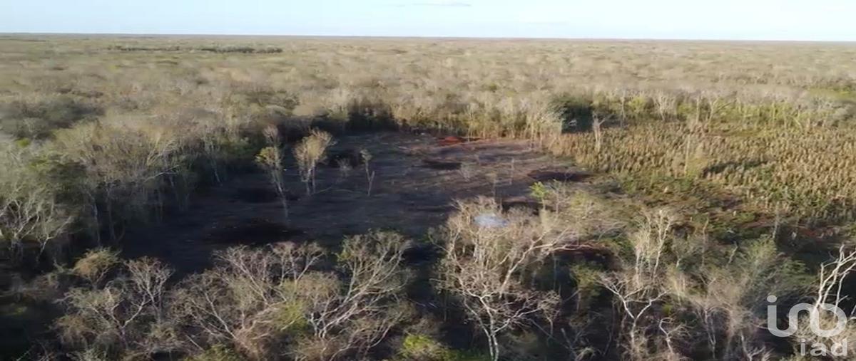 Foto de terreno habitacional en venta en grano de oro , sisbichen, chemax, yucatán, 0 No. 03