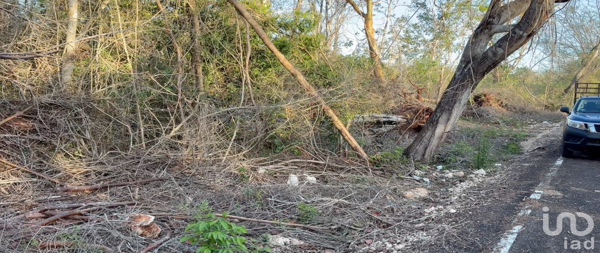 Foto de terreno habitacional en venta en grano de oro , sisbichen, chemax, yucatán, 0 No. 05