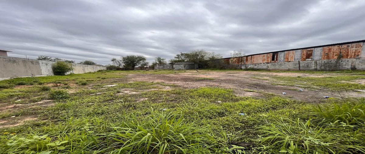 Foto de terreno comercial en renta en grecia , reserva territorial campestre, reynosa, tamaulipas, 27394669 No. 05