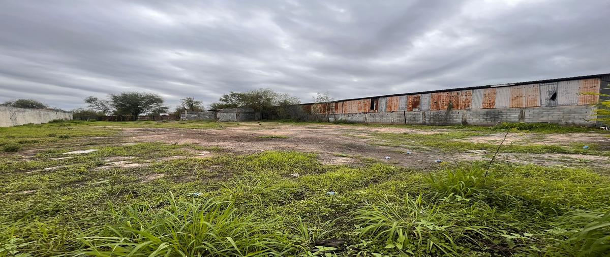 Foto de terreno comercial en renta en grecia , reserva territorial campestre, reynosa, tamaulipas, 27394669 No. 12