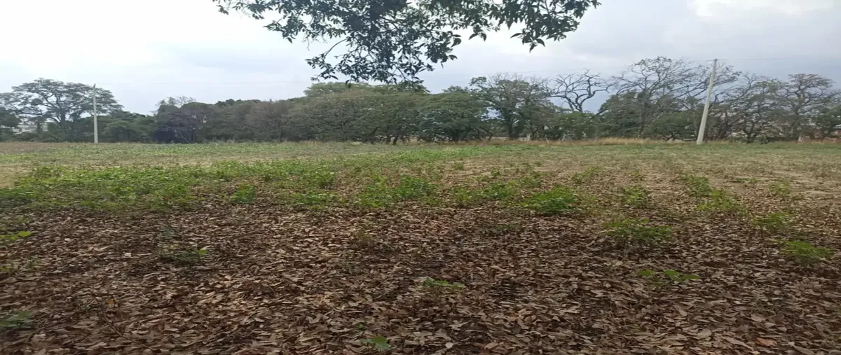 Foto de terreno habitacional en venta en gregorio amaro 00, xolalpa, papalotla de xicohténcatl, tlaxcala, 0 No. 01