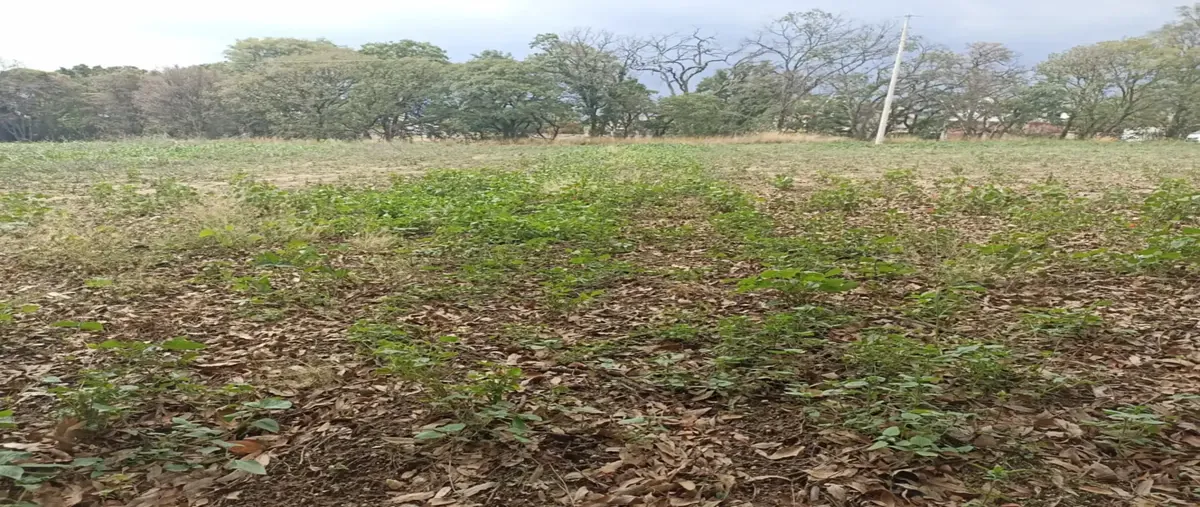 Foto de terreno habitacional en venta en gregorio amaro 00, xolalpa, papalotla de xicohténcatl, tlaxcala, 0 No. 02