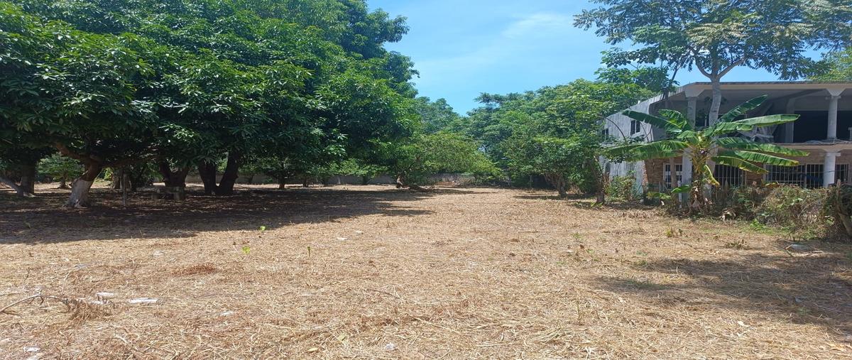 Foto de terreno comercial en gregorio mendez, ranchería saloya, segunda sección , nacajuca, nacajuca, tabasco, 30518325 foto 02 Foto de terreno comercial en venta en gregorio mendez, ranchería saloya, segunda sección , nacajuca, nacajuca, tabasco, 30518325 No. 02