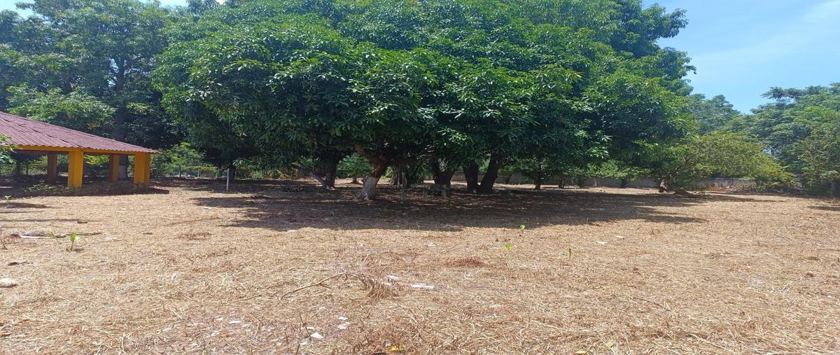Foto de terreno comercial en gregorio mendez, ranchería saloya, segunda sección , nacajuca, nacajuca, tabasco, 30518325 foto 03 Foto de terreno comercial en venta en gregorio mendez, ranchería saloya, segunda sección , nacajuca, nacajuca, tabasco, 30518325 No. 03