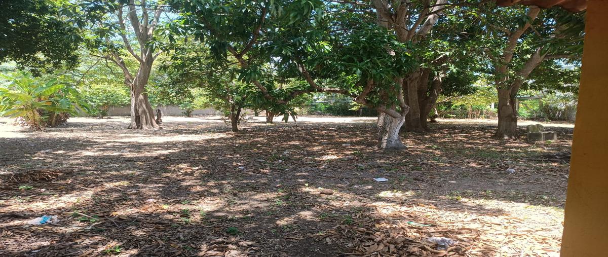 Foto de terreno comercial en gregorio mendez, ranchería saloya, segunda sección , nacajuca, nacajuca, tabasco, 30518325 foto 05 Foto de terreno comercial en venta en gregorio mendez, ranchería saloya, segunda sección , nacajuca, nacajuca, tabasco, 30518325 No. 05