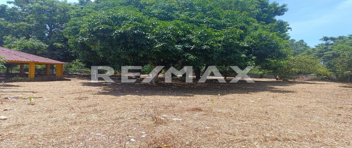 Foto de terreno comercial en venta en gregorio mendez, ranchería saloya, segunda sección, sección el cedro , nacajuca, nacajuca, tabasco, 0 No. 03