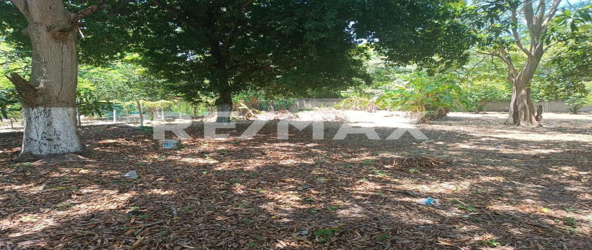 Foto de terreno comercial en venta en gregorio mendez, ranchería saloya, segunda sección, sección el cedro , nacajuca, nacajuca, tabasco, 0 No. 04