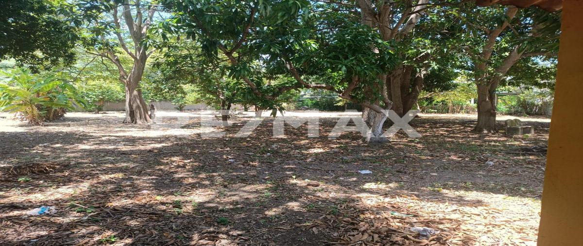 Foto de terreno comercial en venta en gregorio mendez, ranchería saloya, segunda sección, sección el cedro , nacajuca, nacajuca, tabasco, 0 No. 05