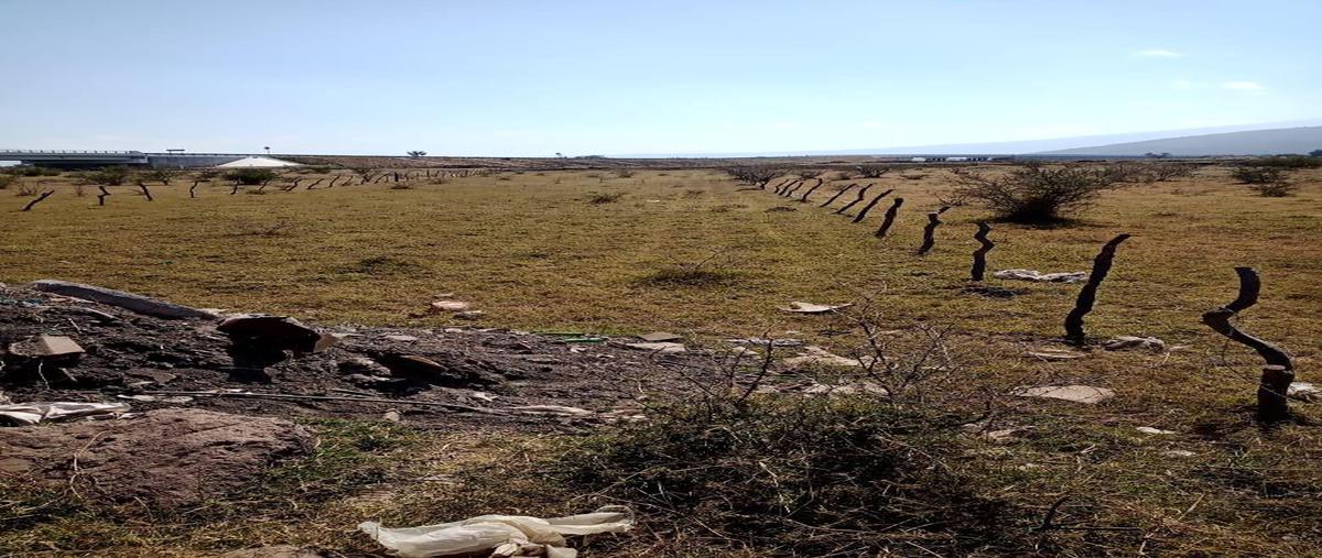 Foto de terreno habitacional en venta en  , grijalva, sahuayo, michoacán de ocampo, 0 No. 05