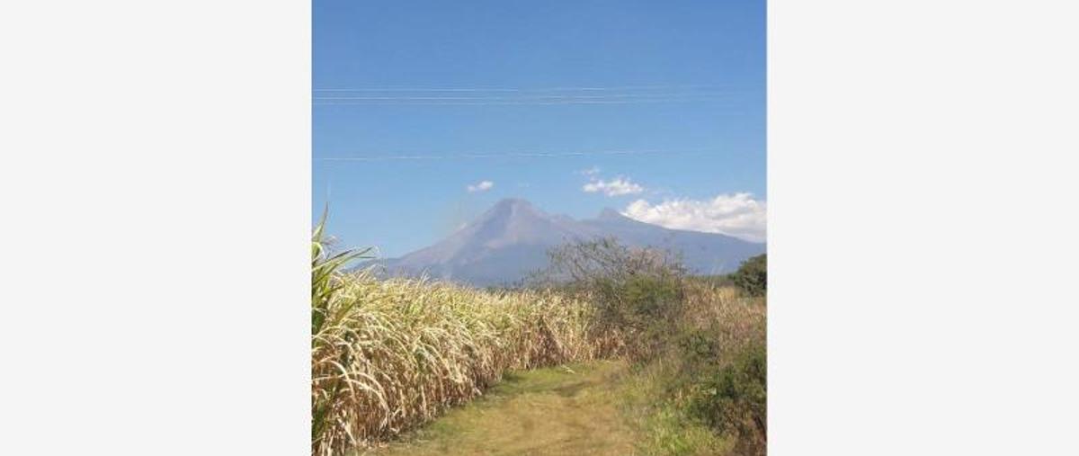 Foto de terreno comercial en , griselda alvarez ponce de león, cuauhtémoc, colima, 8632352 foto 01 Foto de terreno comercial en venta en , griselda alvarez ponce de león, cuauhtémoc, colima, 8632352 No. 01