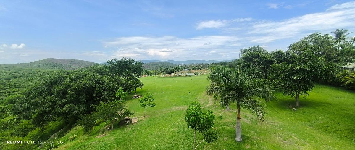 Foto de terreno habitacional en venta en grutas , alpuyeca, xochitepec, morelos, 30205555 No. 04