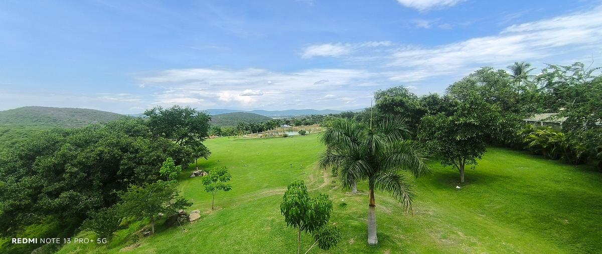 Foto de terreno habitacional en venta en grutas , alpuyeca, xochitepec, morelos, 30205555 No. 05