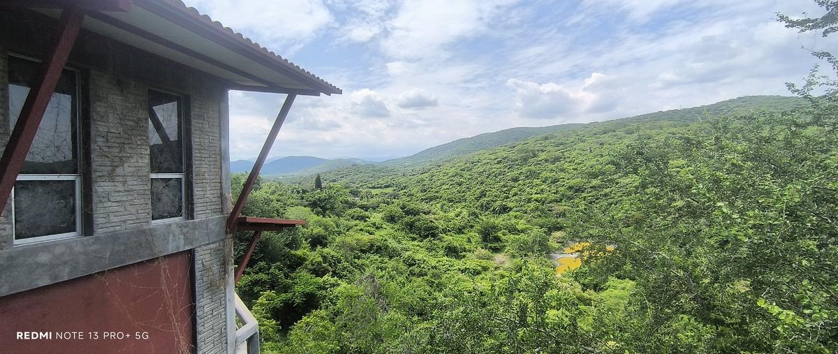 Foto de terreno habitacional en venta en grutas , alpuyeca, xochitepec, morelos, 30205555 No. 06