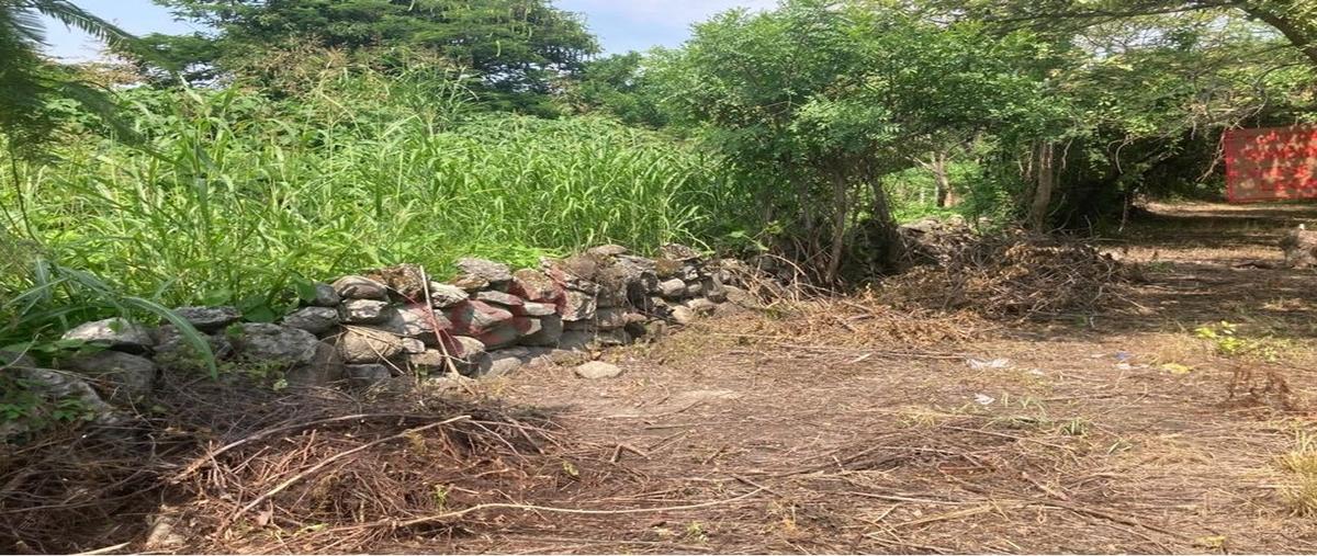 Foto de terreno habitacional en grutas de cacahuamilpa , alpuyeca, xochitepec, morelos, 30701730 foto 01 Foto de terreno habitacional en venta en grutas de cacahuamilpa , alpuyeca, xochitepec, morelos, 30701730 No. 01
