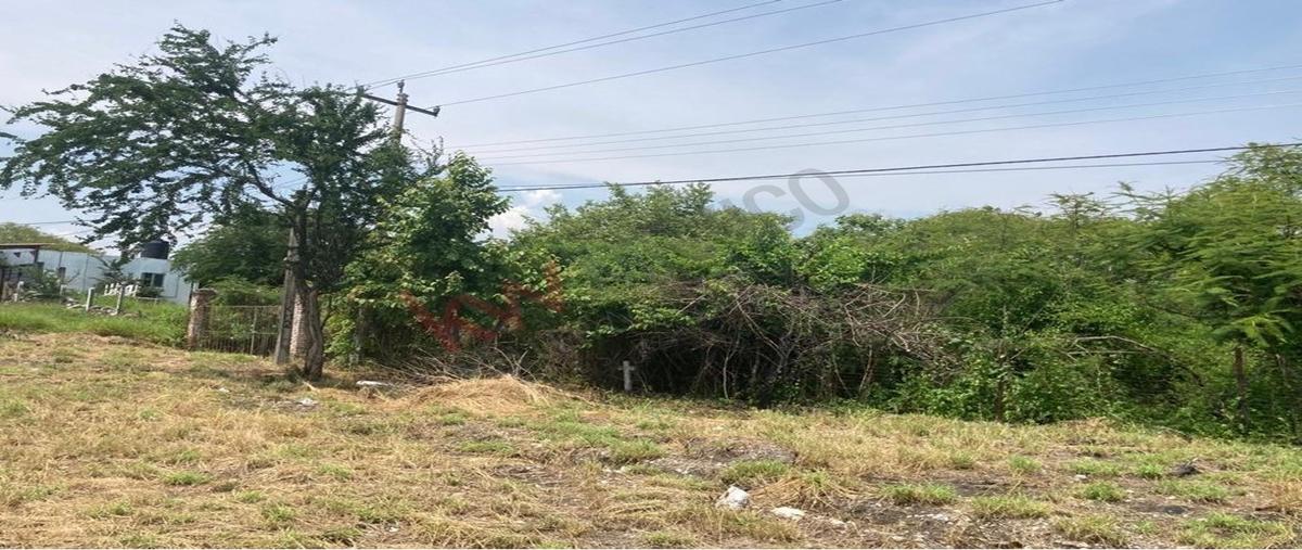 Foto de terreno habitacional en grutas de cacahuamilpa , alpuyeca, xochitepec, morelos, 30701730 foto 02 Foto de terreno habitacional en venta en grutas de cacahuamilpa , alpuyeca, xochitepec, morelos, 30701730 No. 02