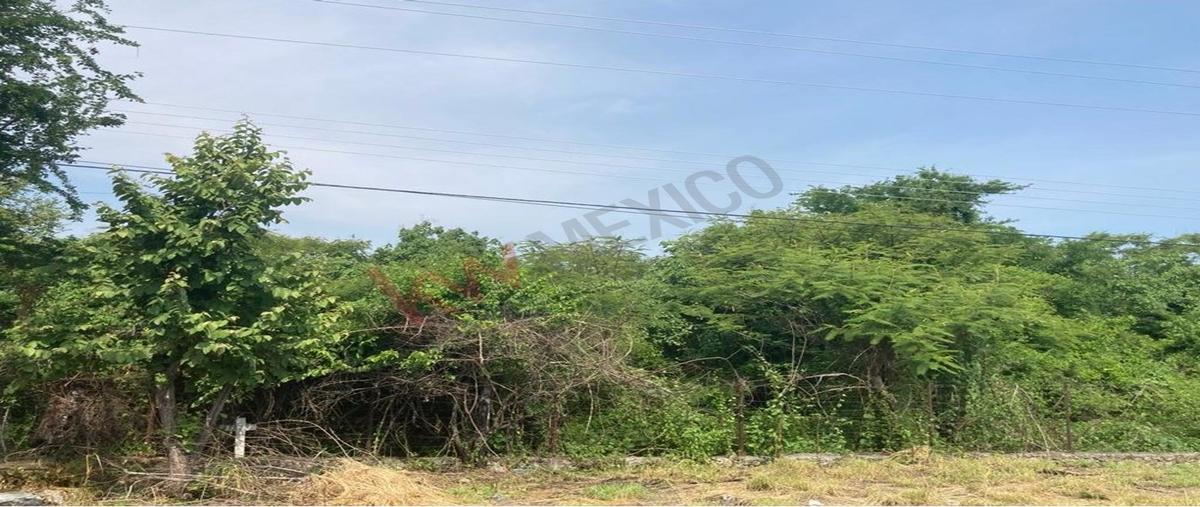 Foto de terreno habitacional en grutas de cacahuamilpa , alpuyeca, xochitepec, morelos, 30701730 foto 03 Foto de terreno habitacional en venta en grutas de cacahuamilpa , alpuyeca, xochitepec, morelos, 30701730 No. 03