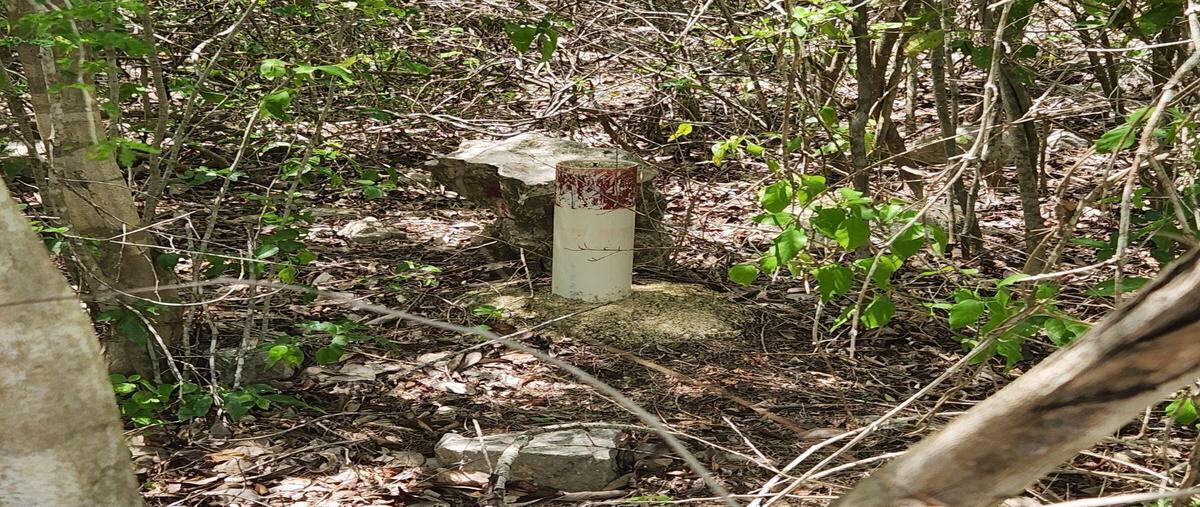 Foto de terreno habitacional en gsk tablaje 41138 kikteil , dzidzilché, mérida, yucatán, 0 foto 03 Foto de terreno habitacional en venta en gsk tablaje 41138 kikteil , dzidzilché, mérida, yucatán, 0 No. 03