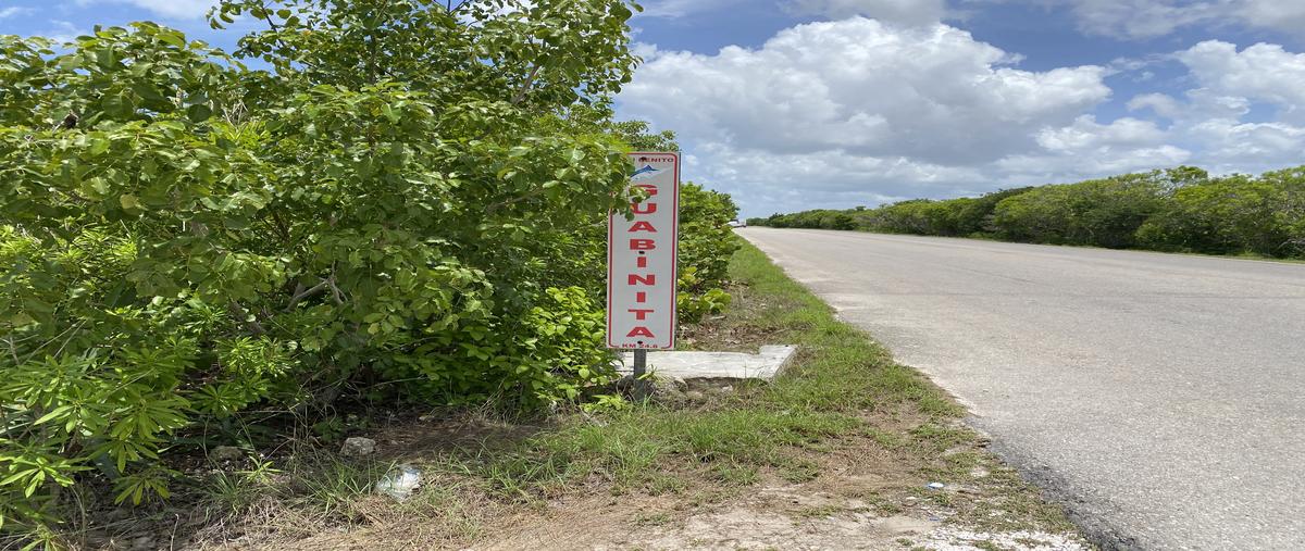 Foto de terreno habitacional en venta en guabinita , dzemul, dzemul, yucatán, 30249626 No. 03