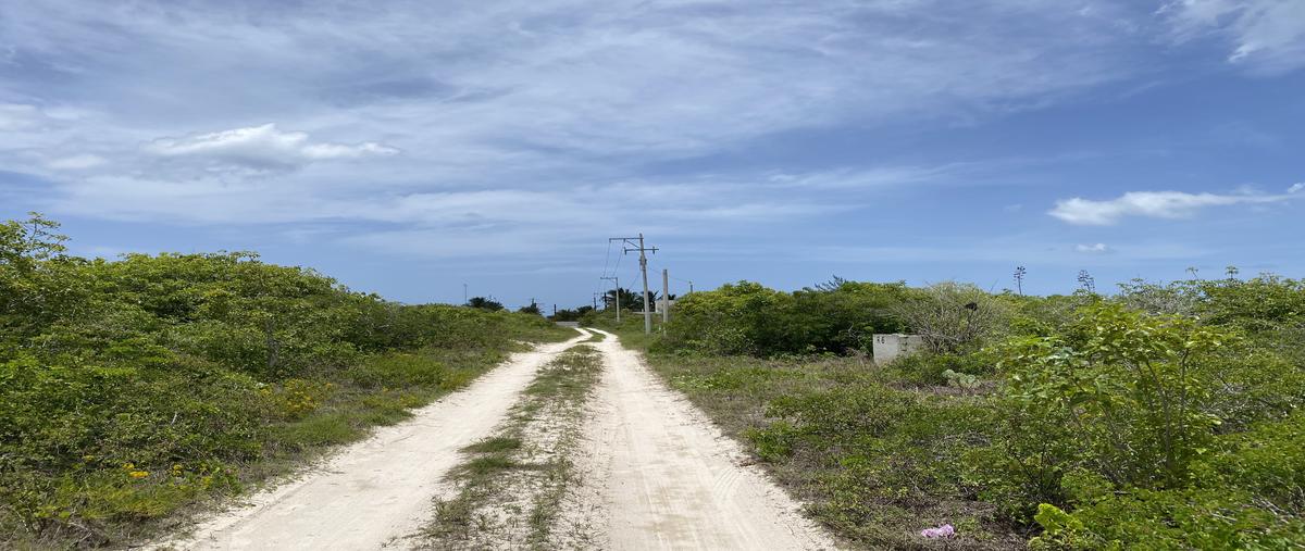 Foto de terreno habitacional en venta en guabinita , dzemul, dzemul, yucatán, 30249626 No. 05