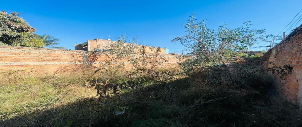 Foto de terreno habitacional en venta en guacamaya 2089, valles de nuevo méxico (la periquera), zapopan, jalisco, 0 No. 05