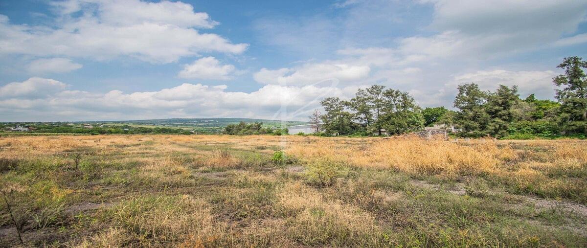 Foto de terreno habitacional en guadalajara-morelia , cuauhtémoc, jiquilpan, michoacán de ocampo, 0 foto 04 Foto de terreno habitacional en venta en guadalajara-morelia , cuauhtémoc, jiquilpan, michoacán de ocampo, 0 No. 04