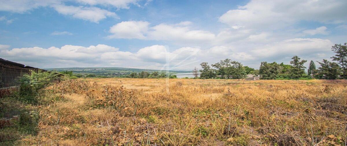Foto de terreno habitacional en guadalajara-morelia , cuauhtémoc, jiquilpan, michoacán de ocampo, 0 foto 05 Foto de terreno habitacional en venta en guadalajara-morelia , cuauhtémoc, jiquilpan, michoacán de ocampo, 0 No. 05
