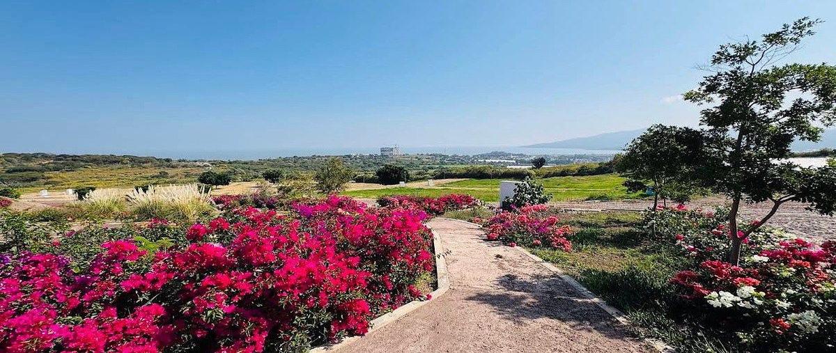 Foto de terreno habitacional en venta en guadalajara-morelia , tuxcueca, tuxcueca, jalisco, 0 No. 04