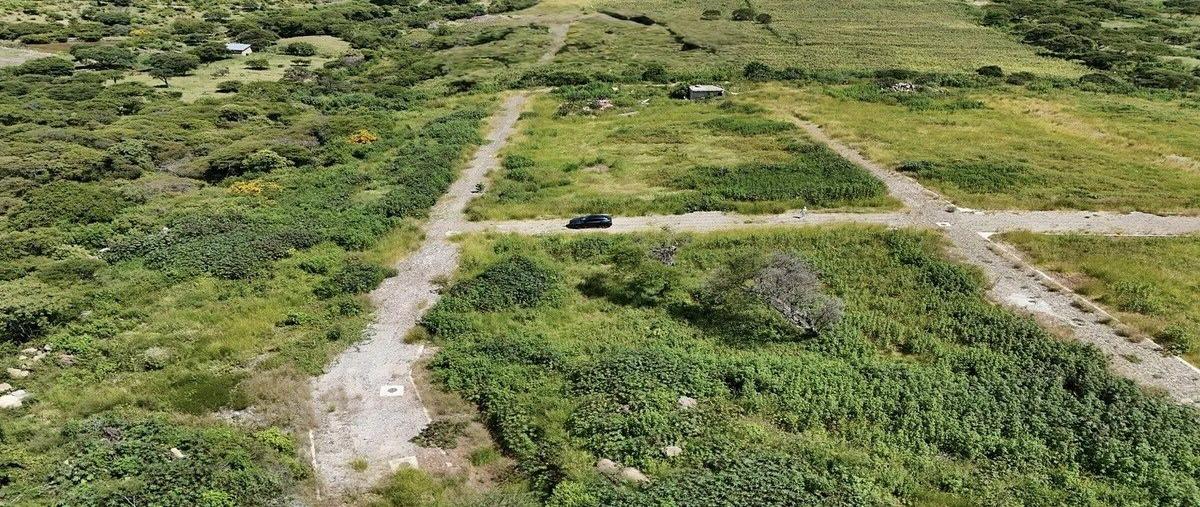 Foto de terreno habitacional en venta en guadalajara-morelia , tuxcueca, tuxcueca, jalisco, 0 No. 05