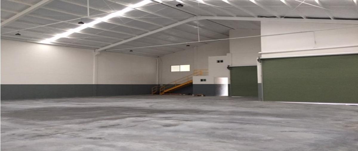 Foto de bodega en renta en  , guadalupe avante, guadalupe, nuevo león, 0 No. 04