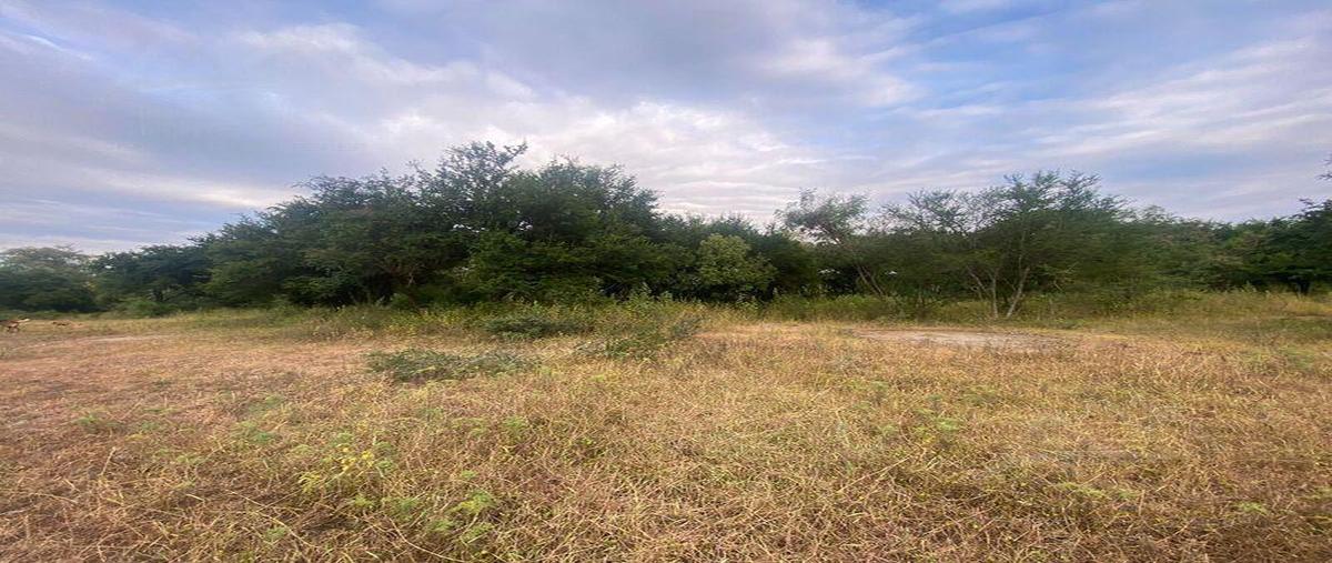 Foto de terreno habitacional en venta en  , guadalupe centro, guadalupe, nuevo león, 24580105 No. 04