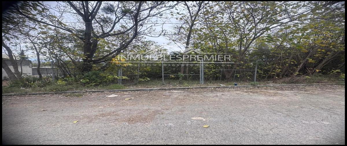 Foto de terreno habitacional en venta en  , guadalupe centro, guadalupe, nuevo león, 29328423 No. 03