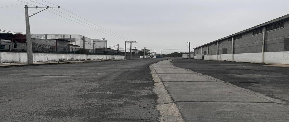 Foto de bodega en renta en  , guadalupe centro, guadalupe, nuevo león, 29413685 No. 04