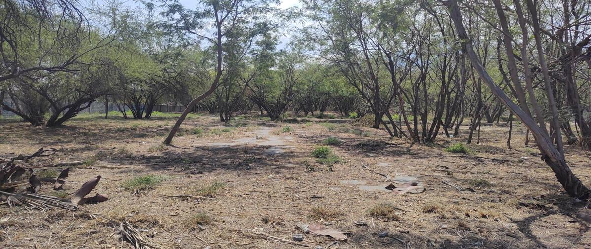 Foto de terreno habitacional en venta en  , guadalupe centro, guadalupe, nuevo león, 29494963 No. 04