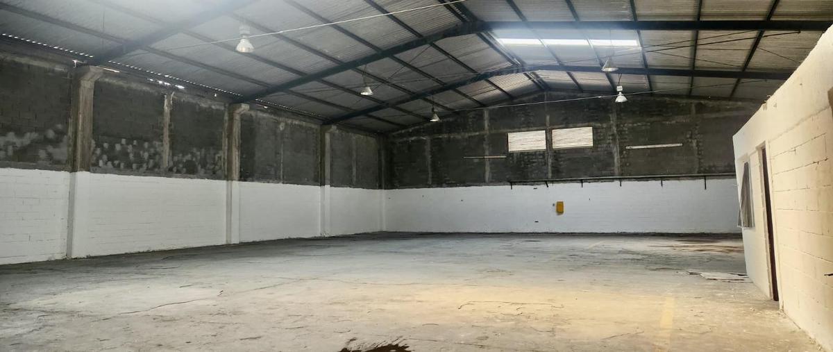 Foto de local en renta en  , guadalupe centro, guadalupe, nuevo león, 0 No. 01