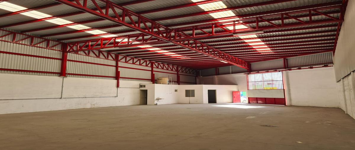 Foto de bodega en renta en  , guadalupe centro, guadalupe, nuevo león, 0 No. 05