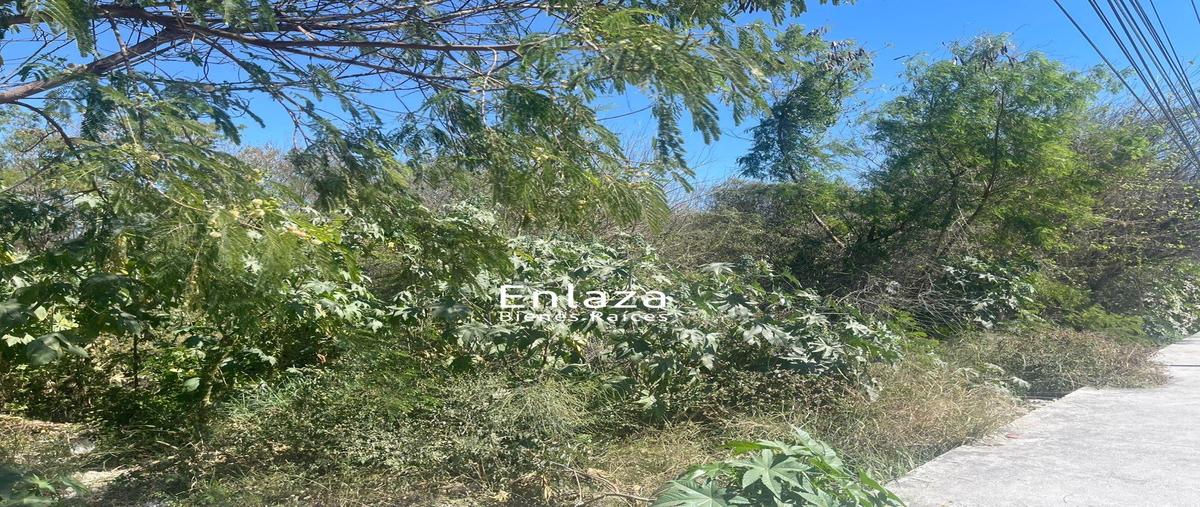 Foto de terreno habitacional en , guadalupe centro, guadalupe, nuevo león, 0 foto 05 Foto de terreno habitacional en renta en , guadalupe centro, guadalupe, nuevo león, 0 No. 05