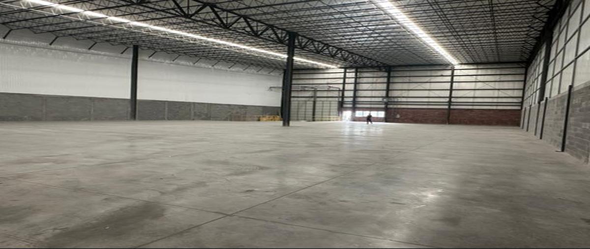 Foto de bodega en renta en  , guadalupe centro, guadalupe, nuevo león, 31039501 No. 04