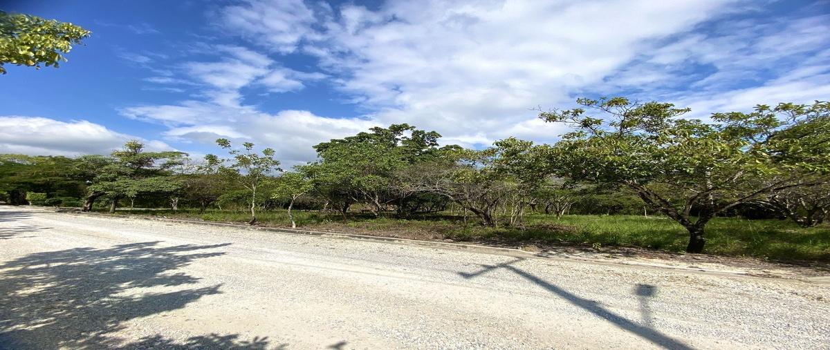 Foto de terreno habitacional en venta en guadalupe country , plan de ayala, tuxtla gutiérrez, chiapas, 0 No. 03