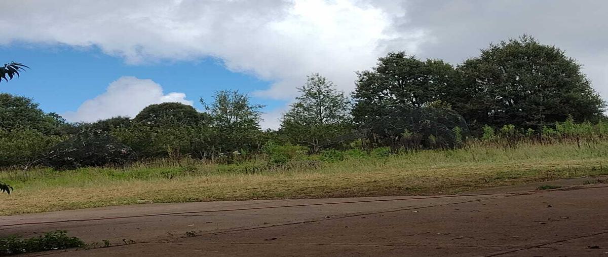 Foto de terreno habitacional en venta en  , guadalupe de tayopa, yécora, sonora, 26146352 No. 03